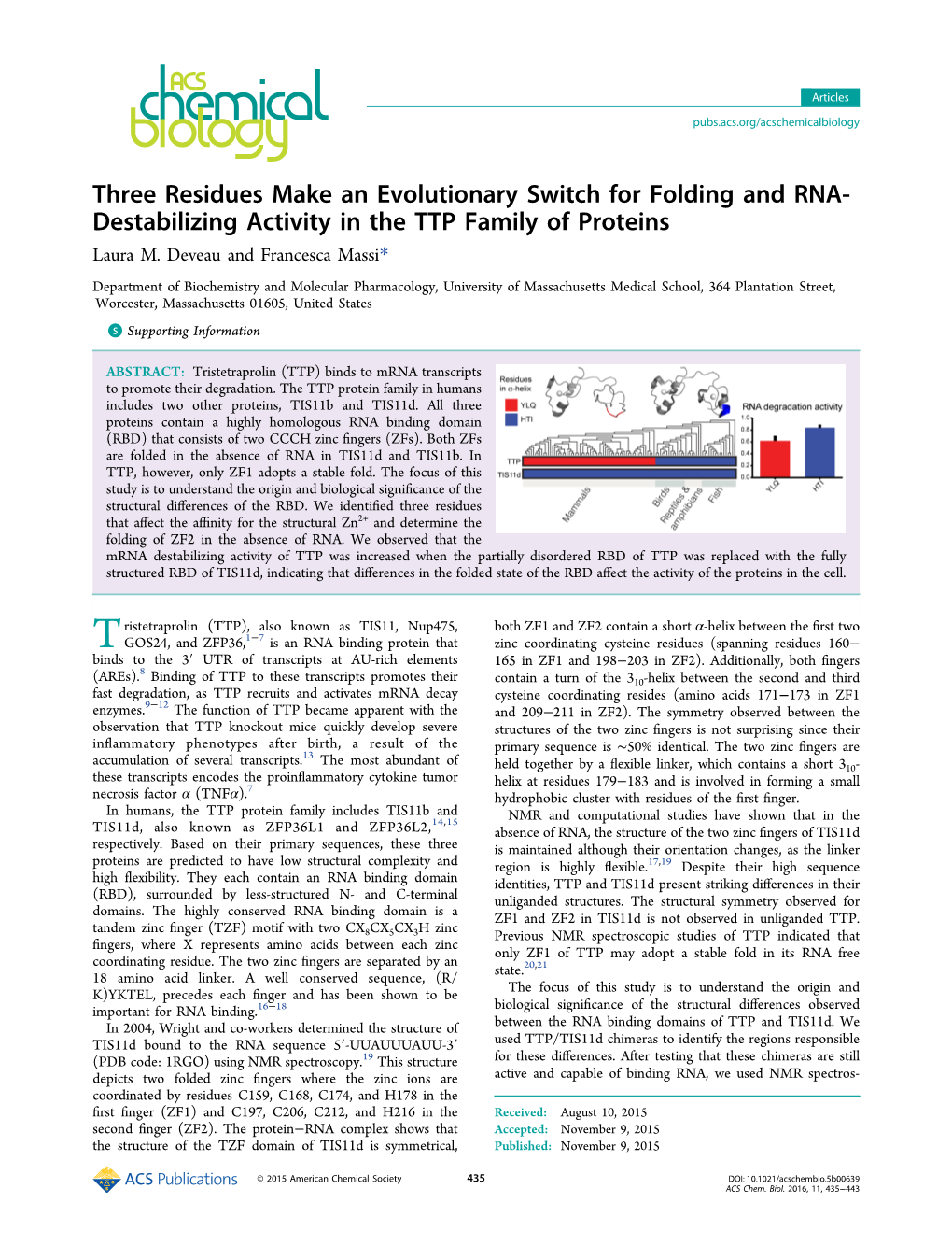 Destabilizing Activity in the TTP Family of Proteins Laura M