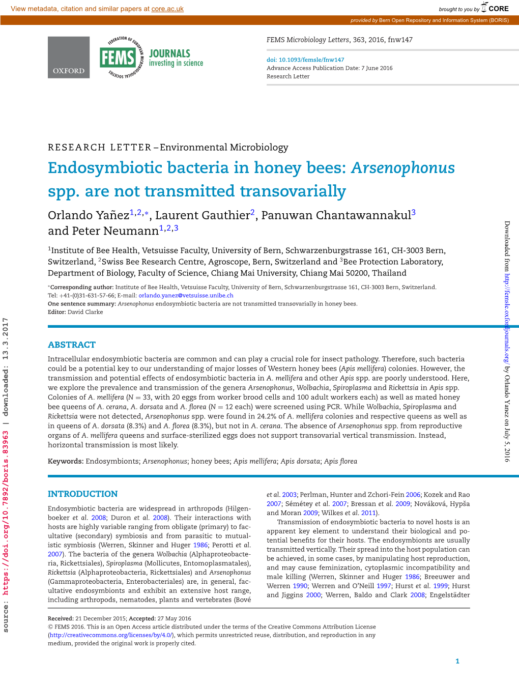 Endosymbiotic Bacteria in Honey Bees: Arsenophonus Spp. Are Not Transmitted Transovarially