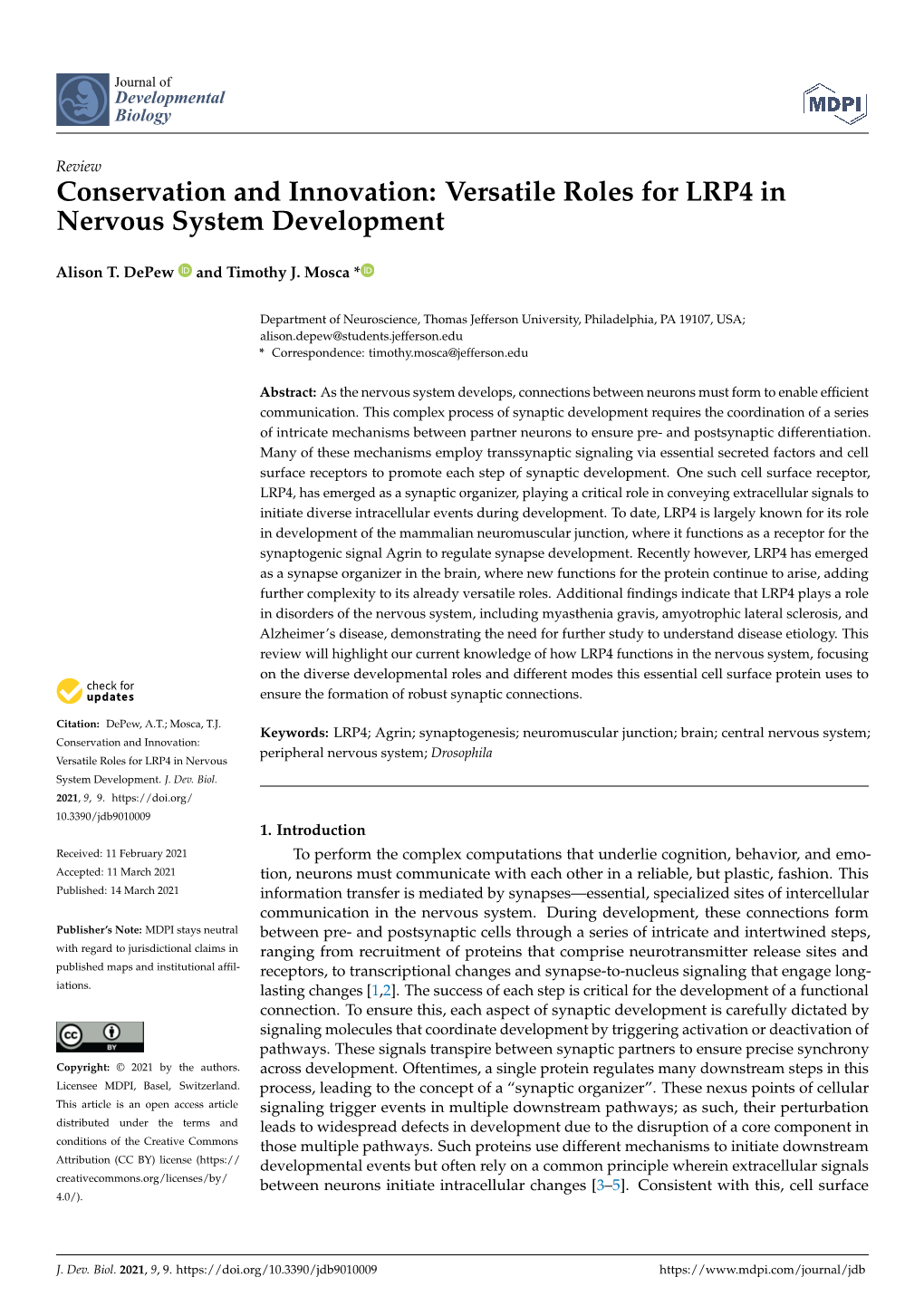 Versatile Roles for LRP4 in Nervous System Development