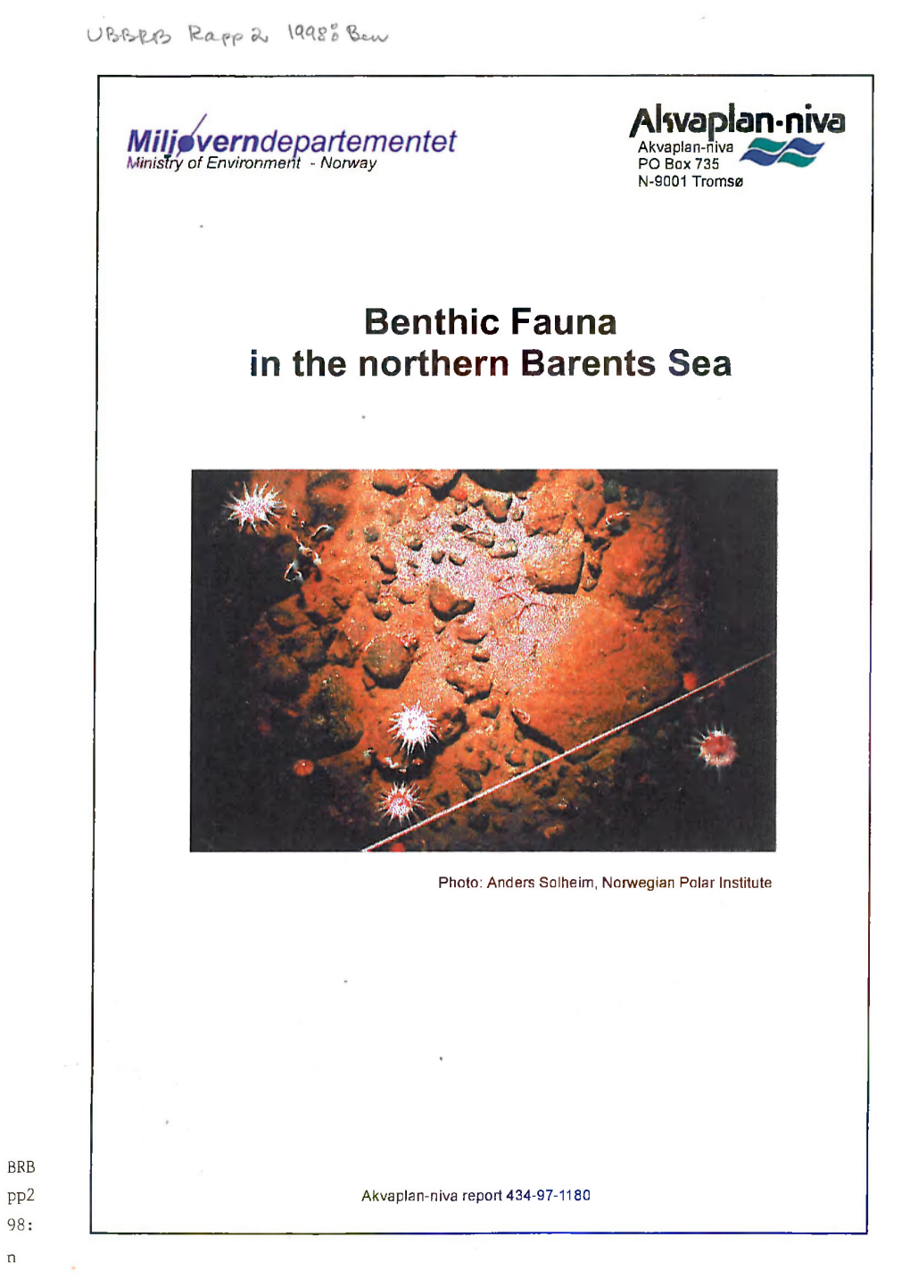 Alwaplan-Niva Benthic Fauna in the Northern Barents