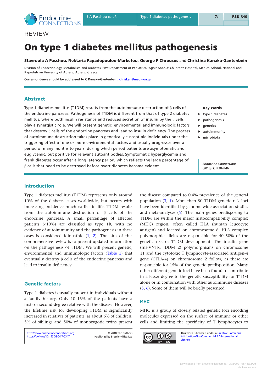 On Type 1 Diabetes Mellitus Pathogenesis