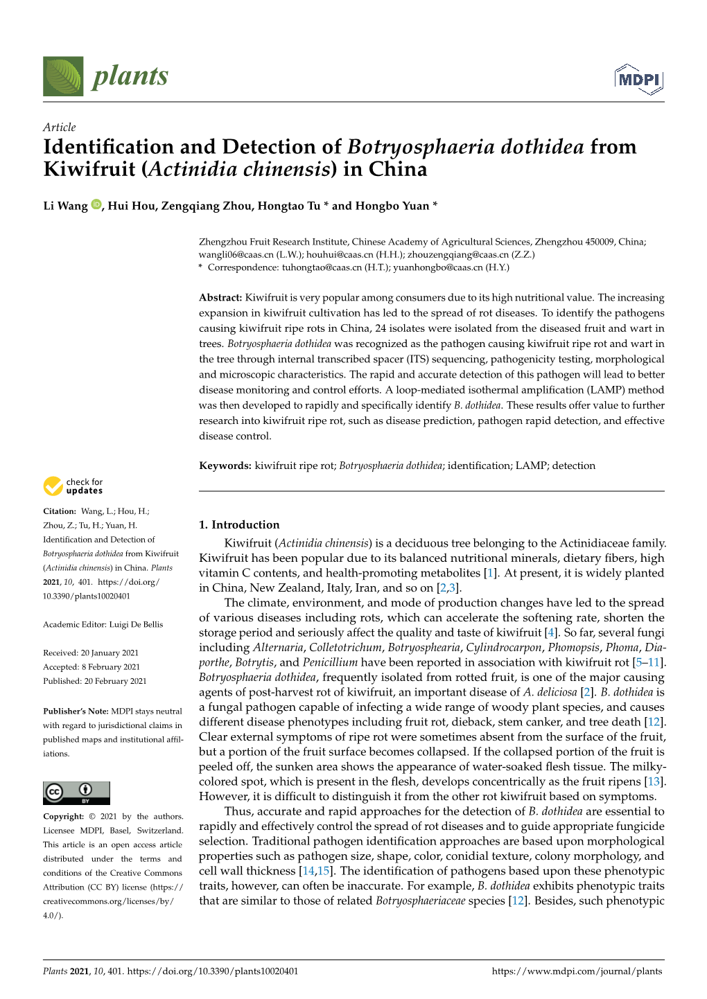 Identification and Detection of Botryosphaeria Dothidea from Kiwifruit (Actinidia Chinensis) in China