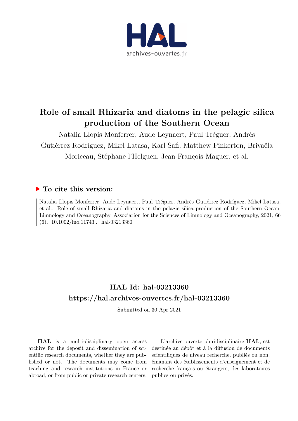 Role of Small Rhizaria and Diatoms in the Pelagic Silica Production of The