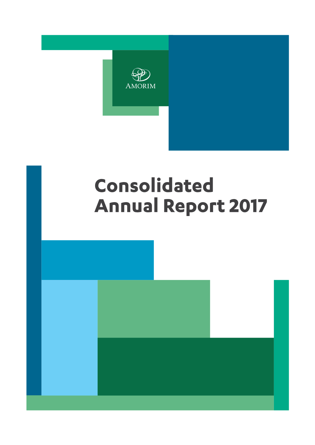 Consolidated Annual Report 2017