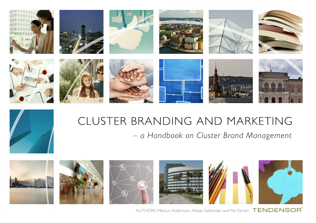 Cluster Branding and Marketing – a Handbook on Cluster Brand Management