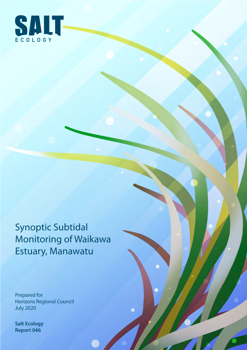 Synoptic Subtidal Monitoring of Waikawa Estuary, Manawatu