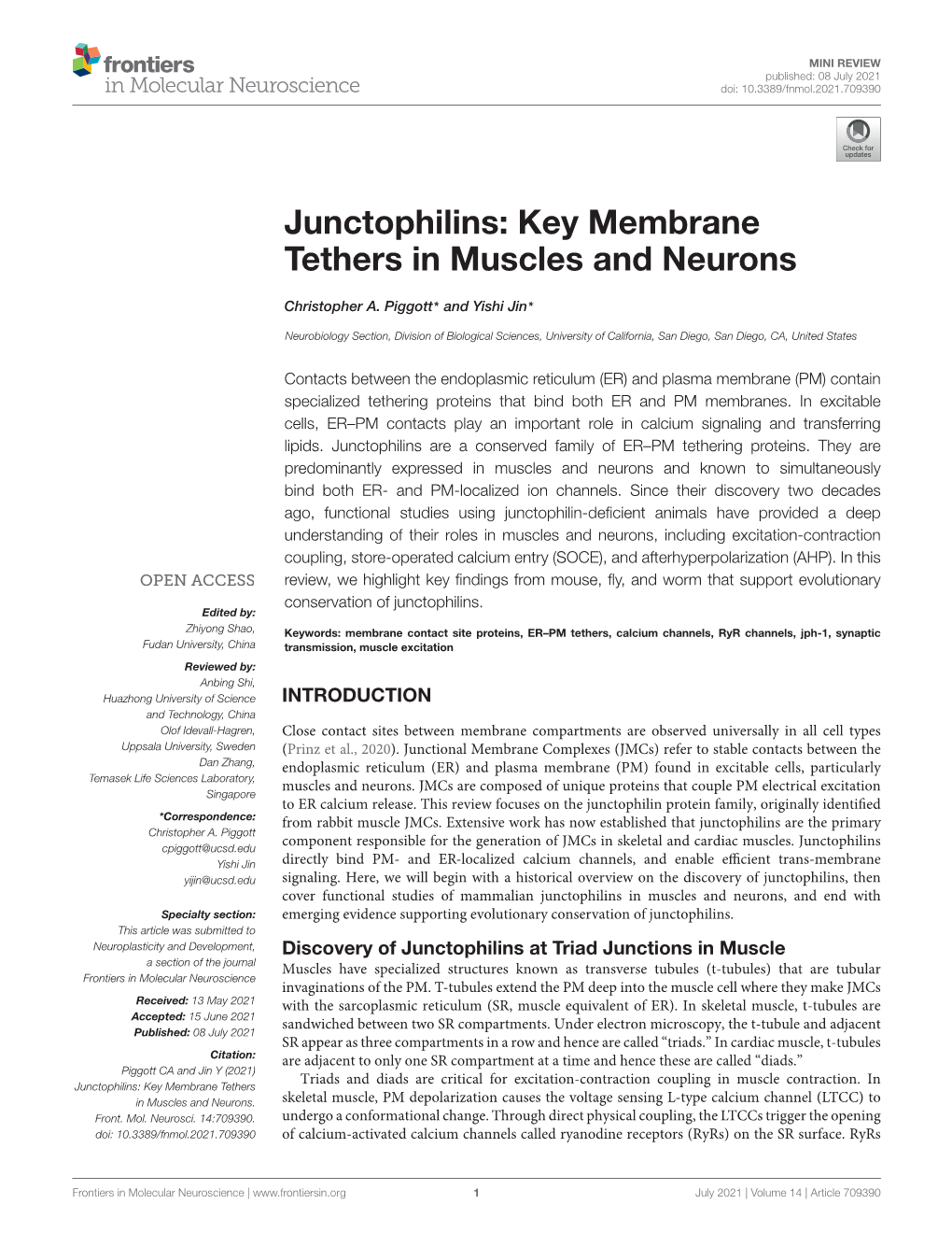 Junctophilins: Key Membrane Tethers in Muscles and Neurons