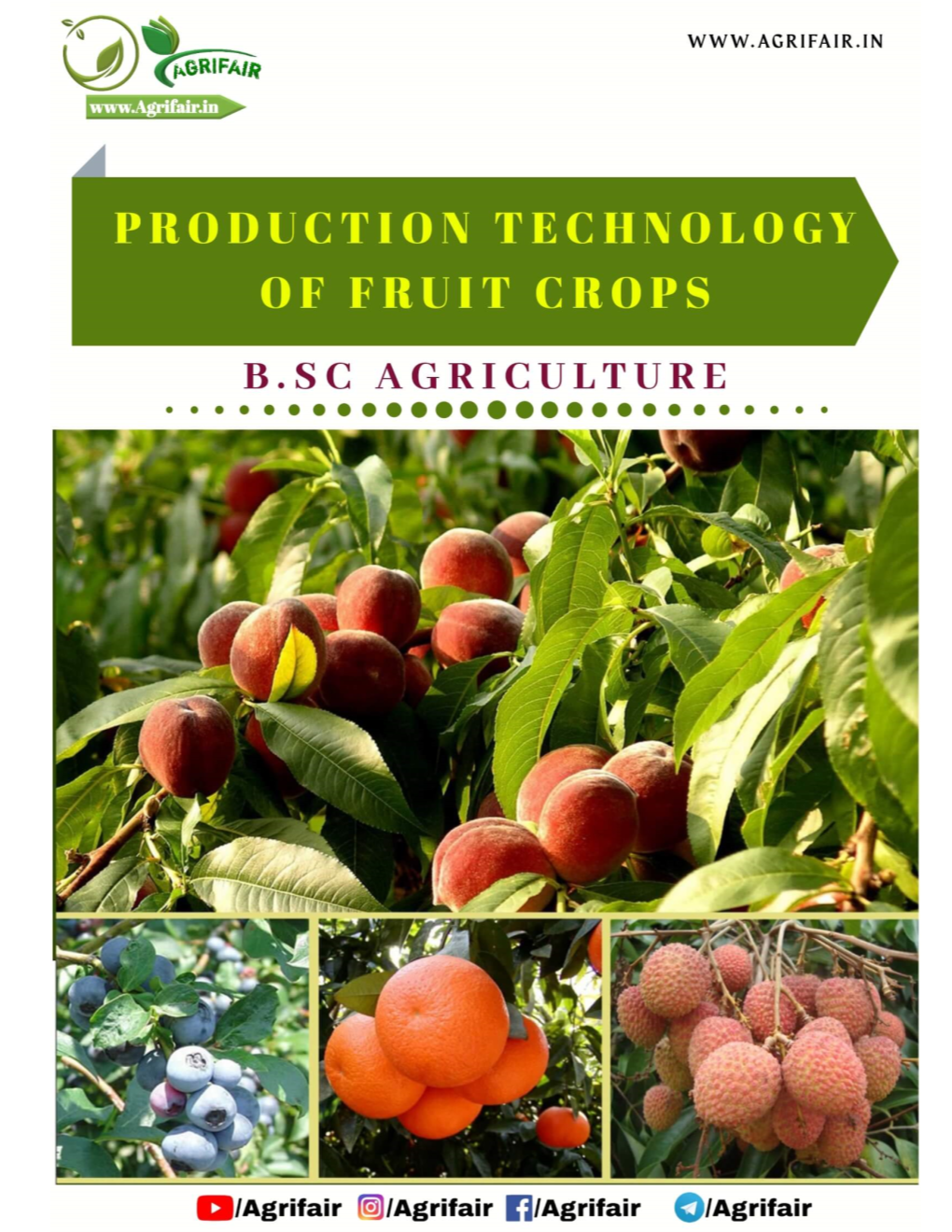 Production-Technology-Of-Fruit-Crops
