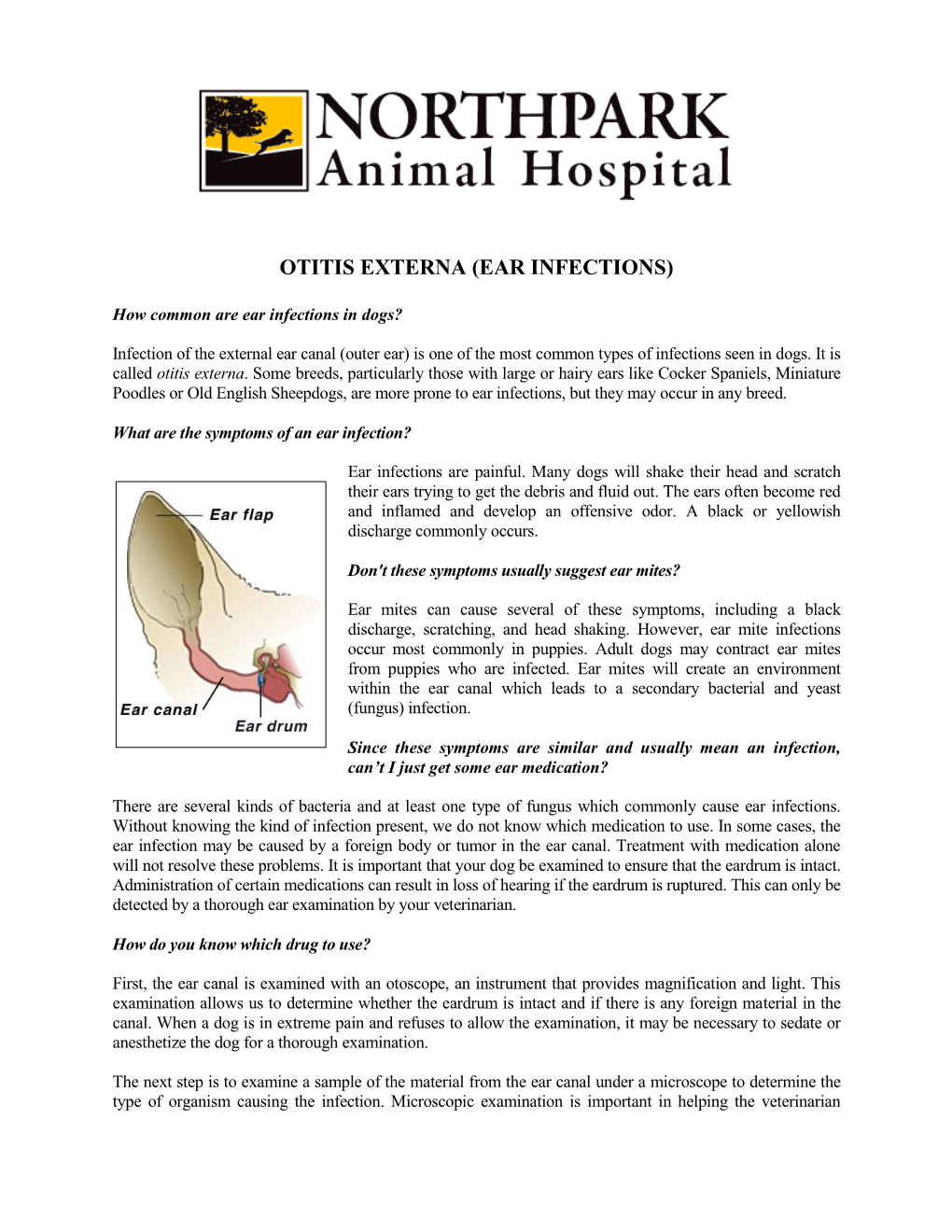 Ear Infections-Otitis Externa