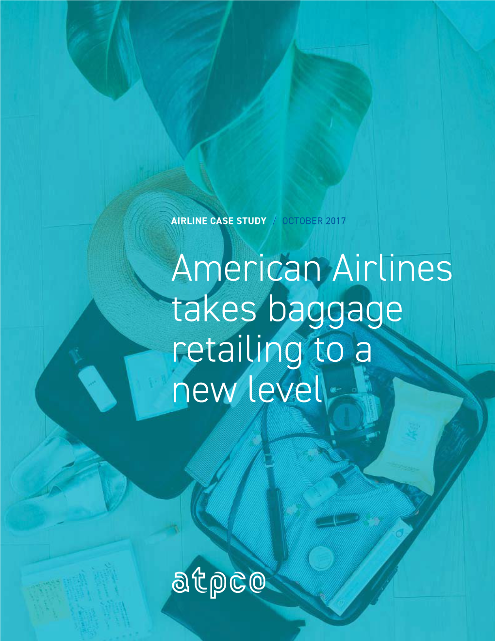 American Airlines Takes Baggage Retailing to a New Level Irlines Are Now Retailers