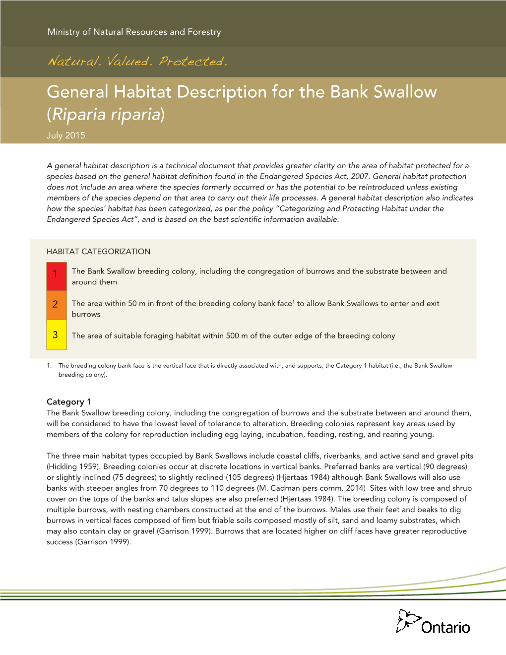General Habitat Description for the Bank Swallow (Riparia Riparia) July 2015