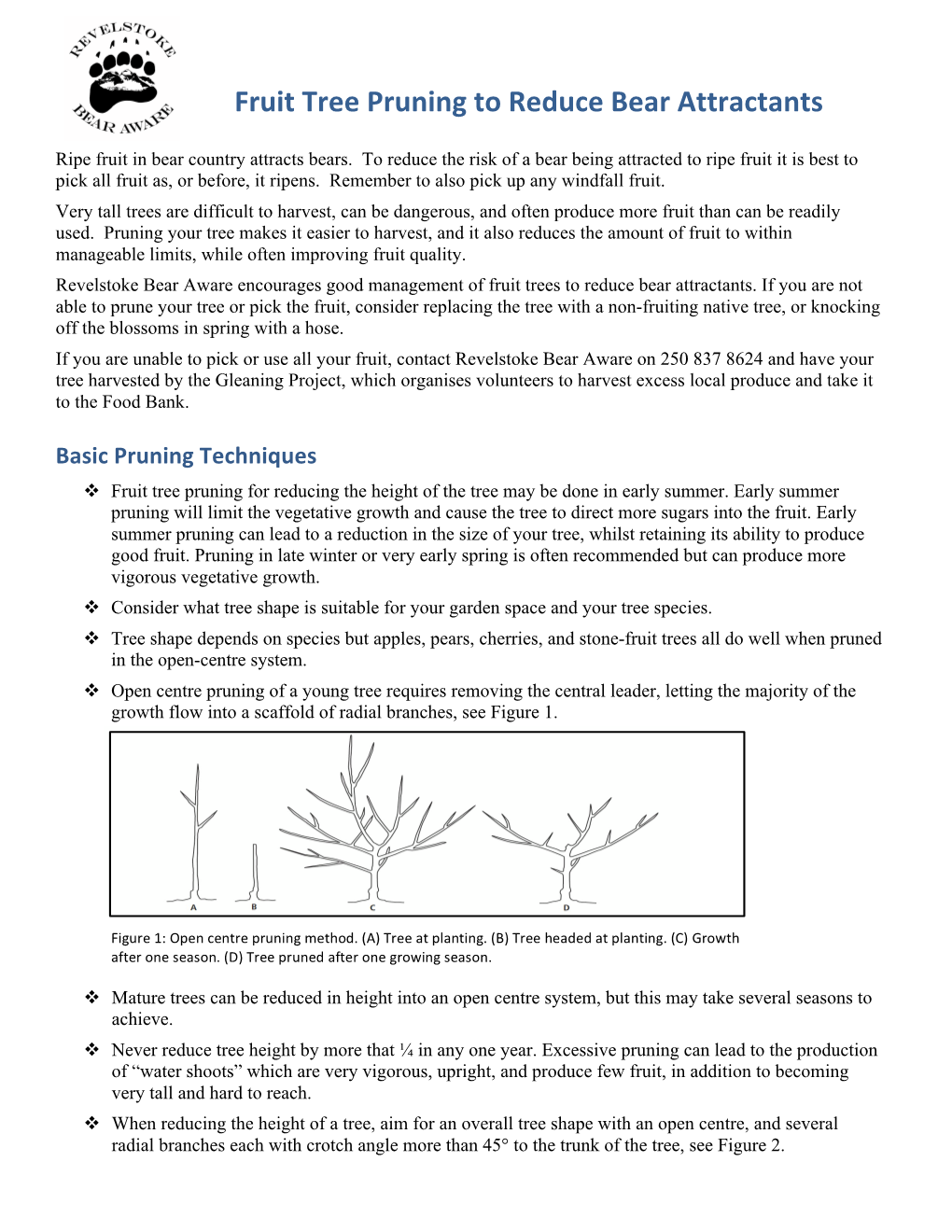 Fruit Tree Pruning and Bear Attractants