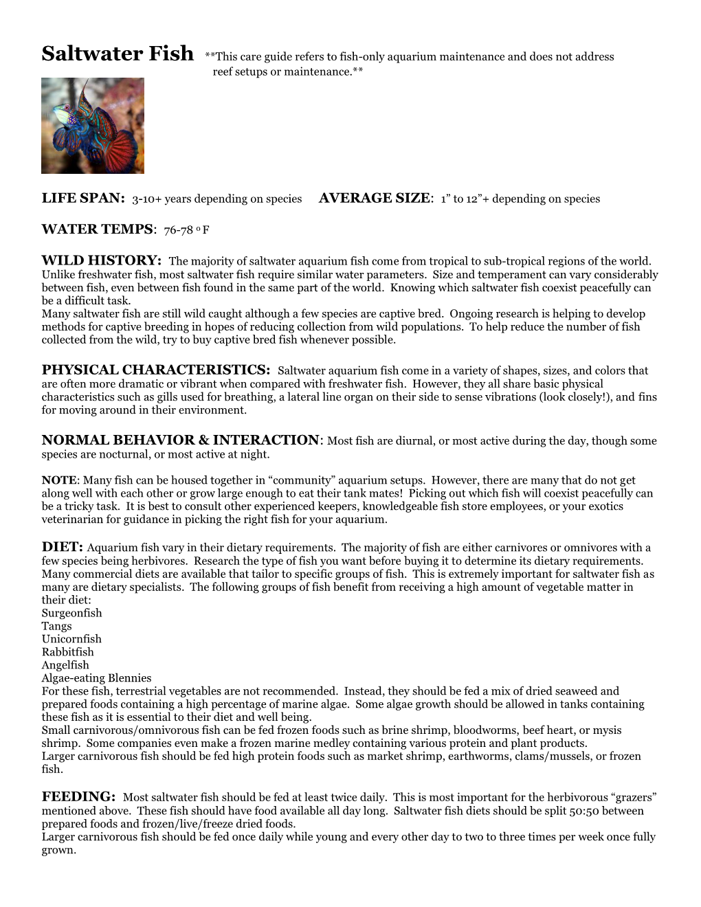 Saltwater Fish Care Sheet