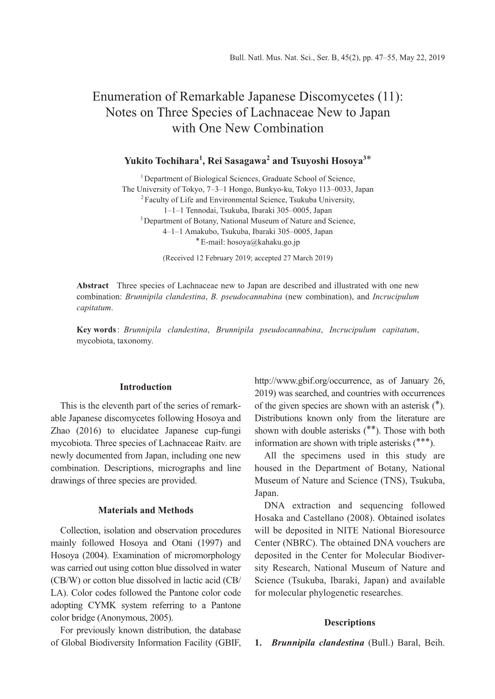 Enumeration of Remarkable Japanese Discomycetes (11): Notes on Three Species of Lachnaceae New to Japan with One New Combination