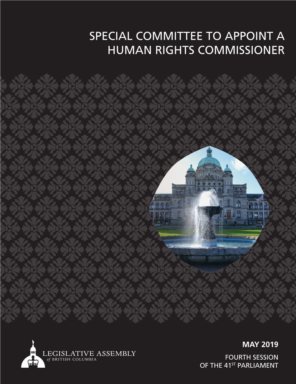 Special Committee to Appoint a Human Rights Commissioner