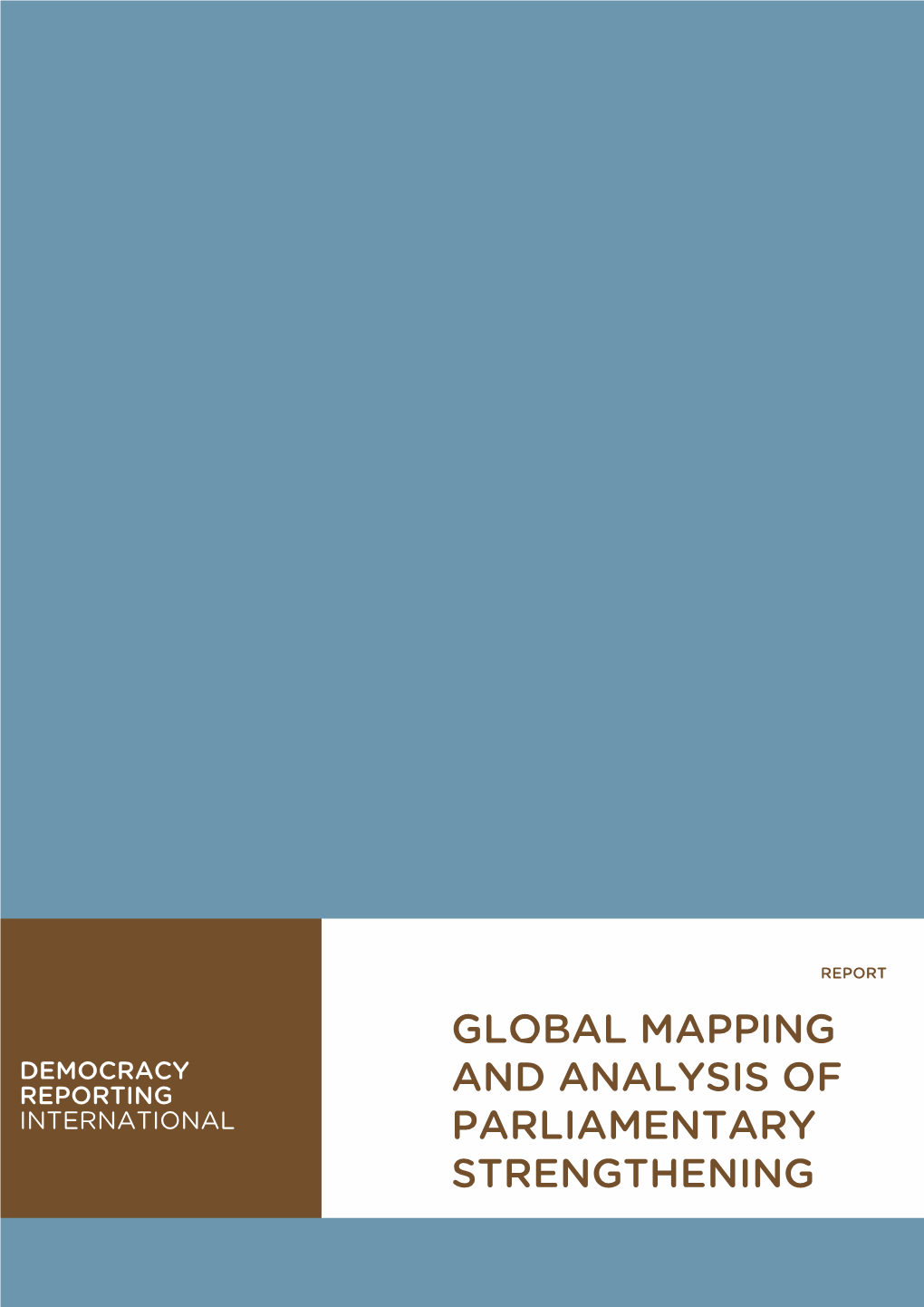 Global Mapping and Analysis of Parliamentary Strengthening Programs