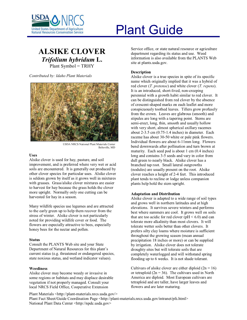 ALSIKE CLOVER Department Regarding Its Status and Use