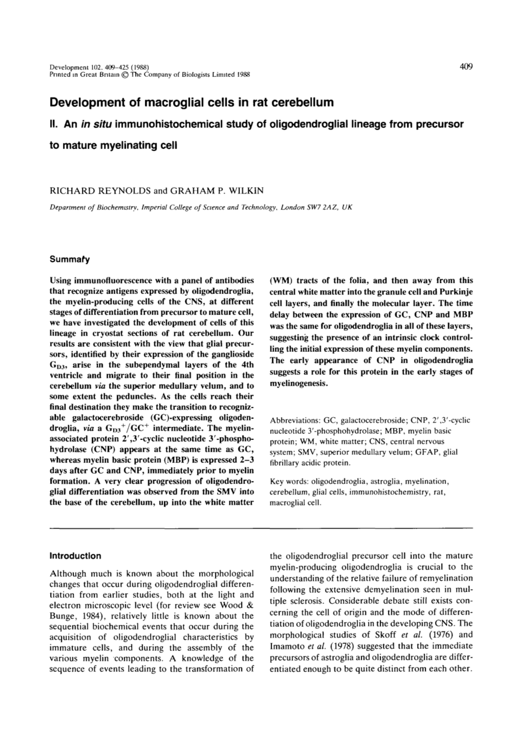 Development of Macroglial Cells in Rat Cerebellum II