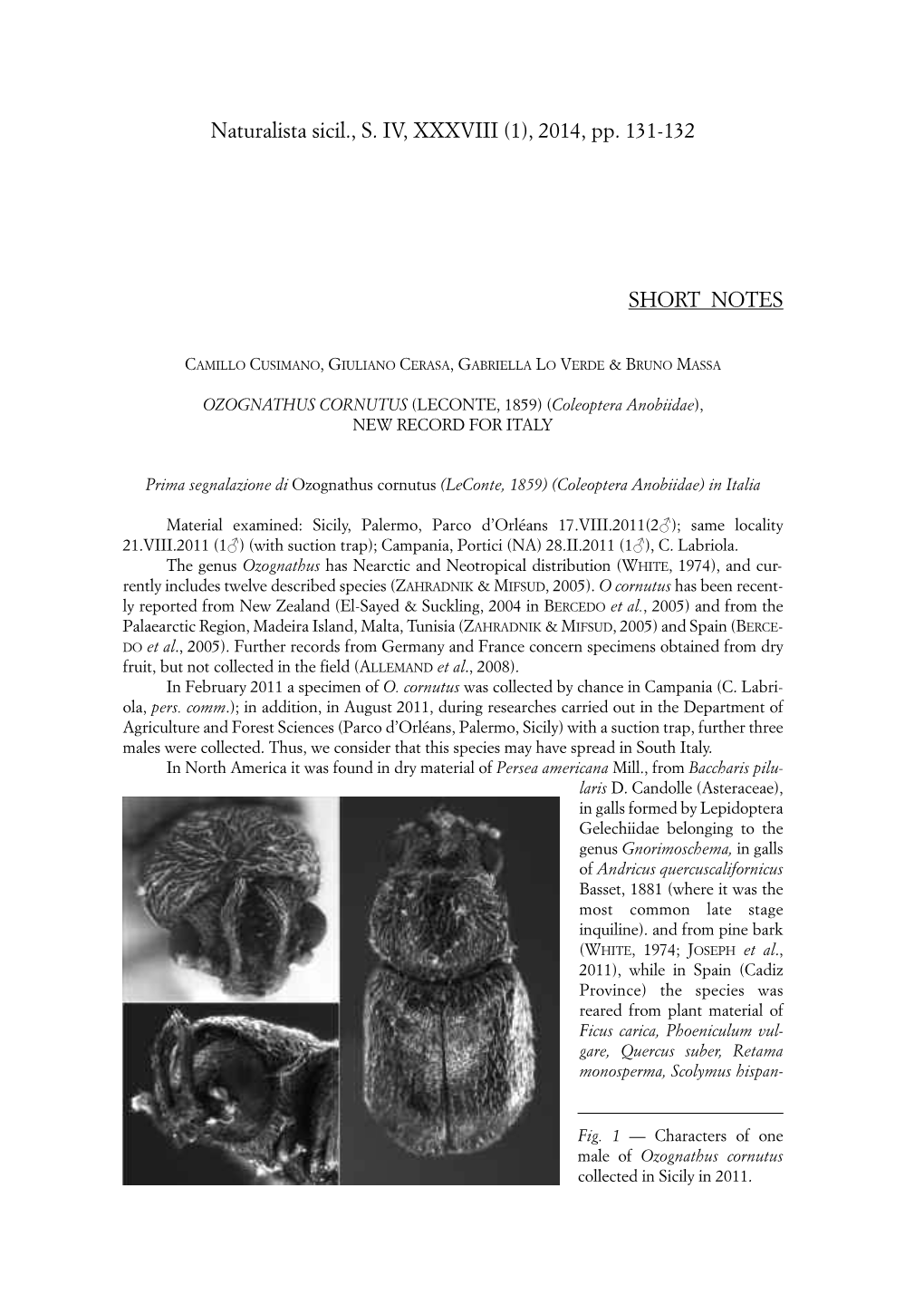 Naturalista Sicil., S. IV, XXXVIII (1), 2014, Pp. 131-132 SHORT NOTES