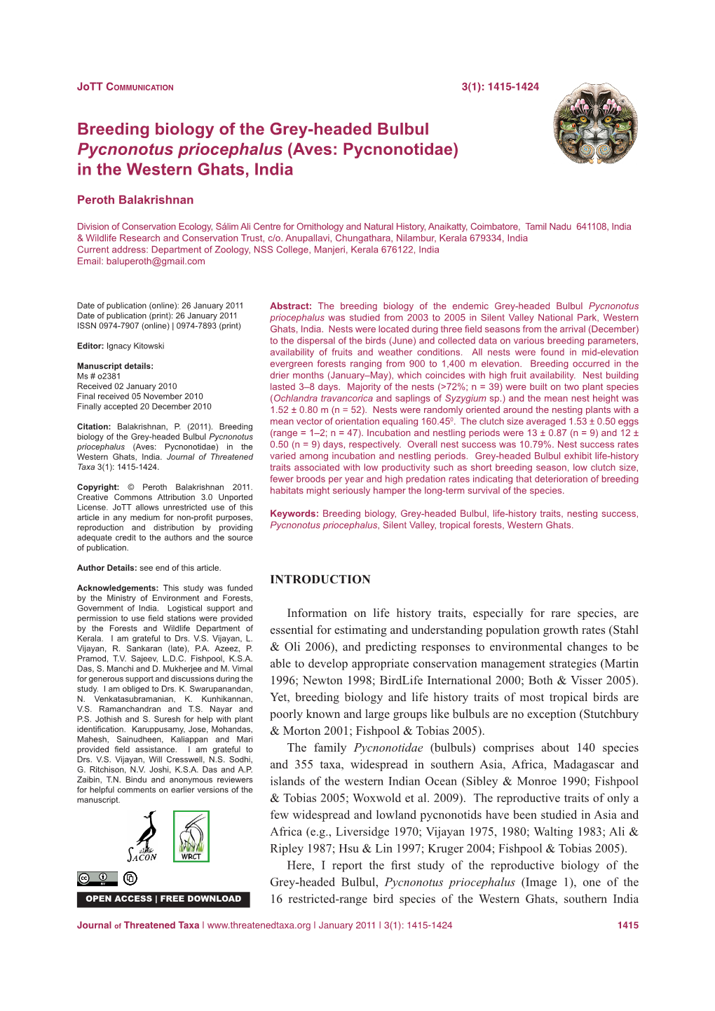 Breeding Biology of the Grey-Headed Bulbul Pycnonotus Priocephalus (Aves: Pycnonotidae) in the Western Ghats, India