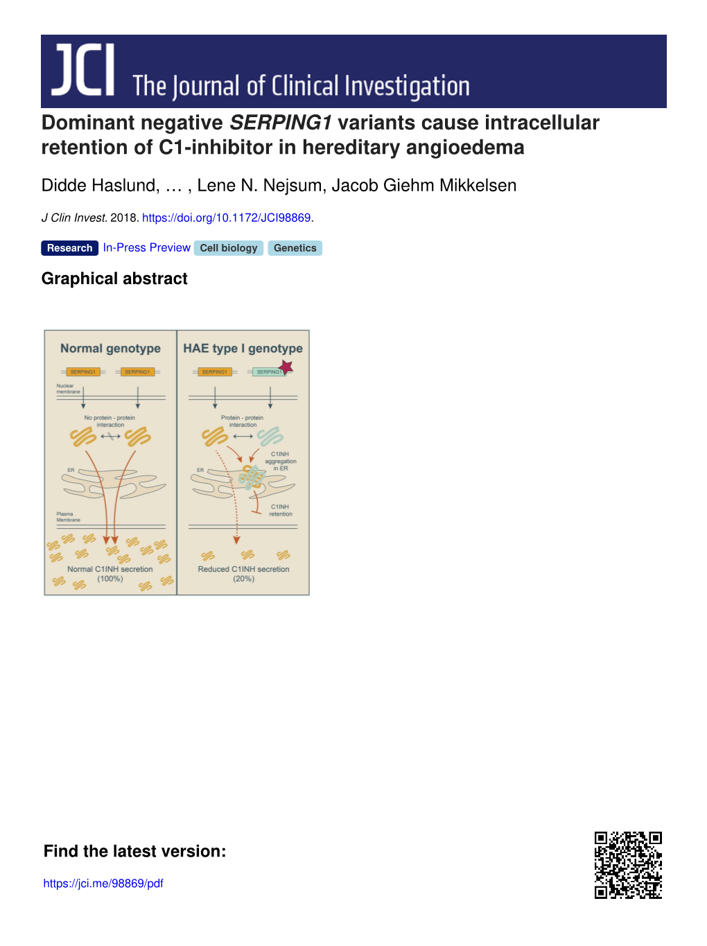 Dominant Negative SERPING1 Variants Cause Intracellular Retention of C1-Inhibitor in Hereditary Angioedema