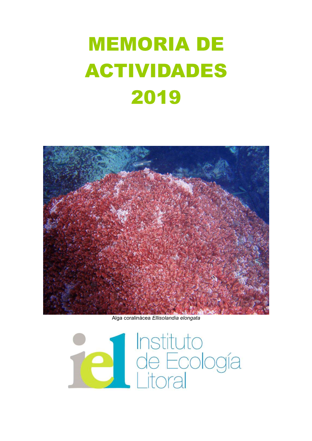 Memoria De Actividades 2019