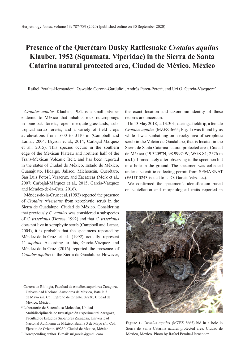 Presence of the Querétaro Dusky Rattlesnake Crotalus Aquilus