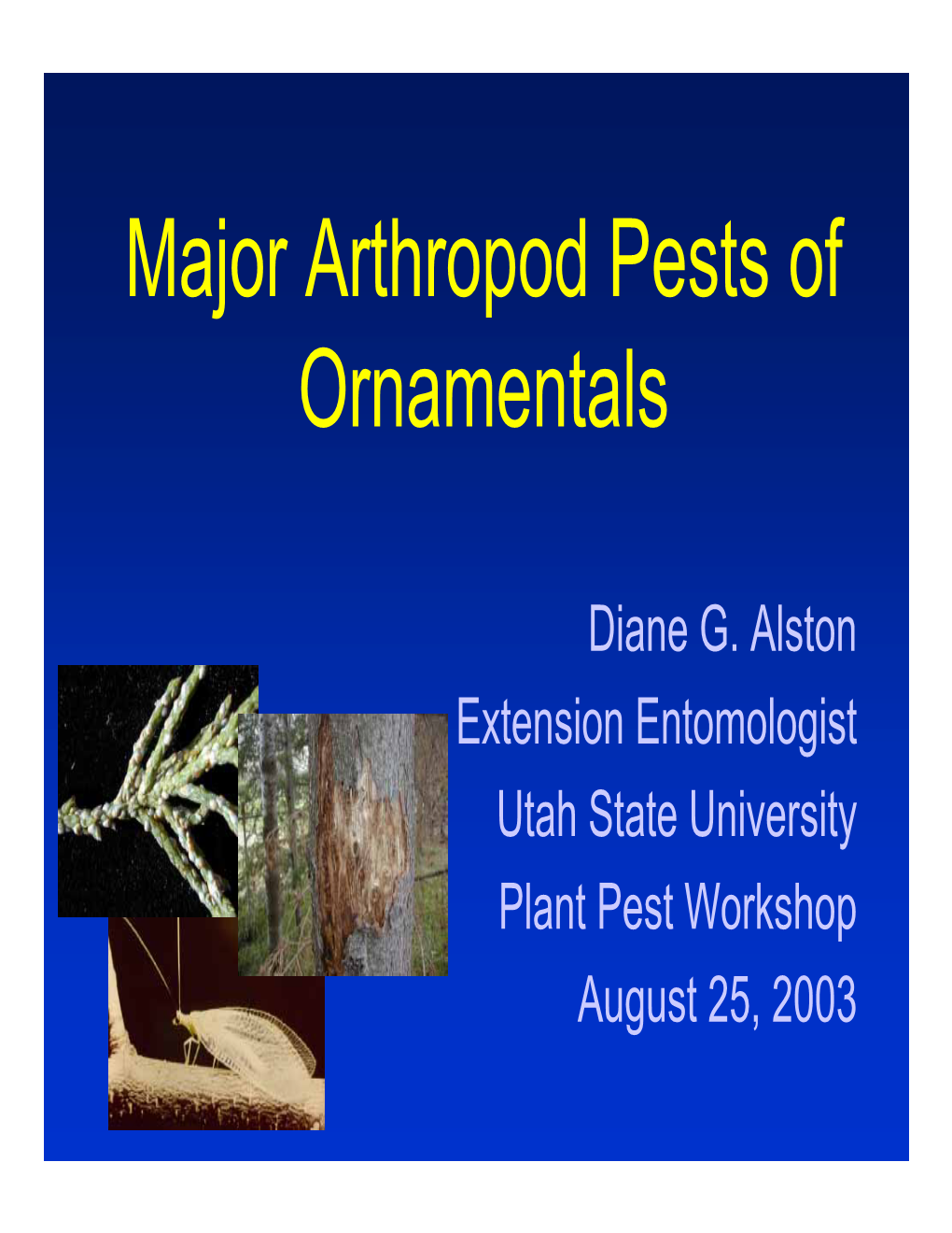 Major Arthropod Pests of Ornamentals