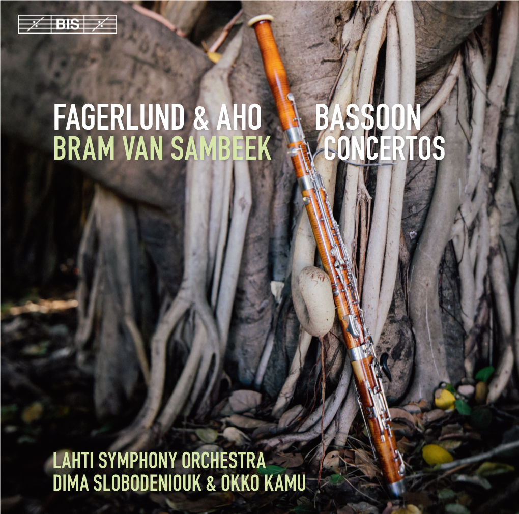 Fagerlund & Aho Bassoon