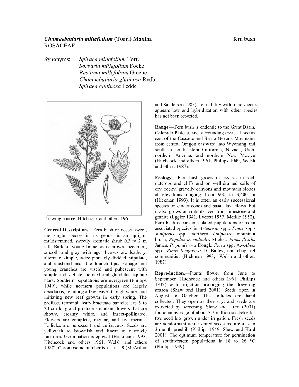 Chamaebatiaria Millefolium (Torr.) Maxim