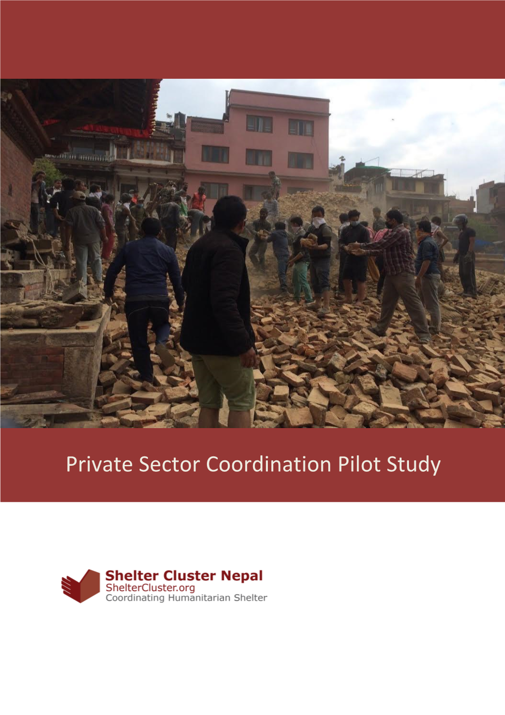 Private Sector Coordination Pilot Study Report