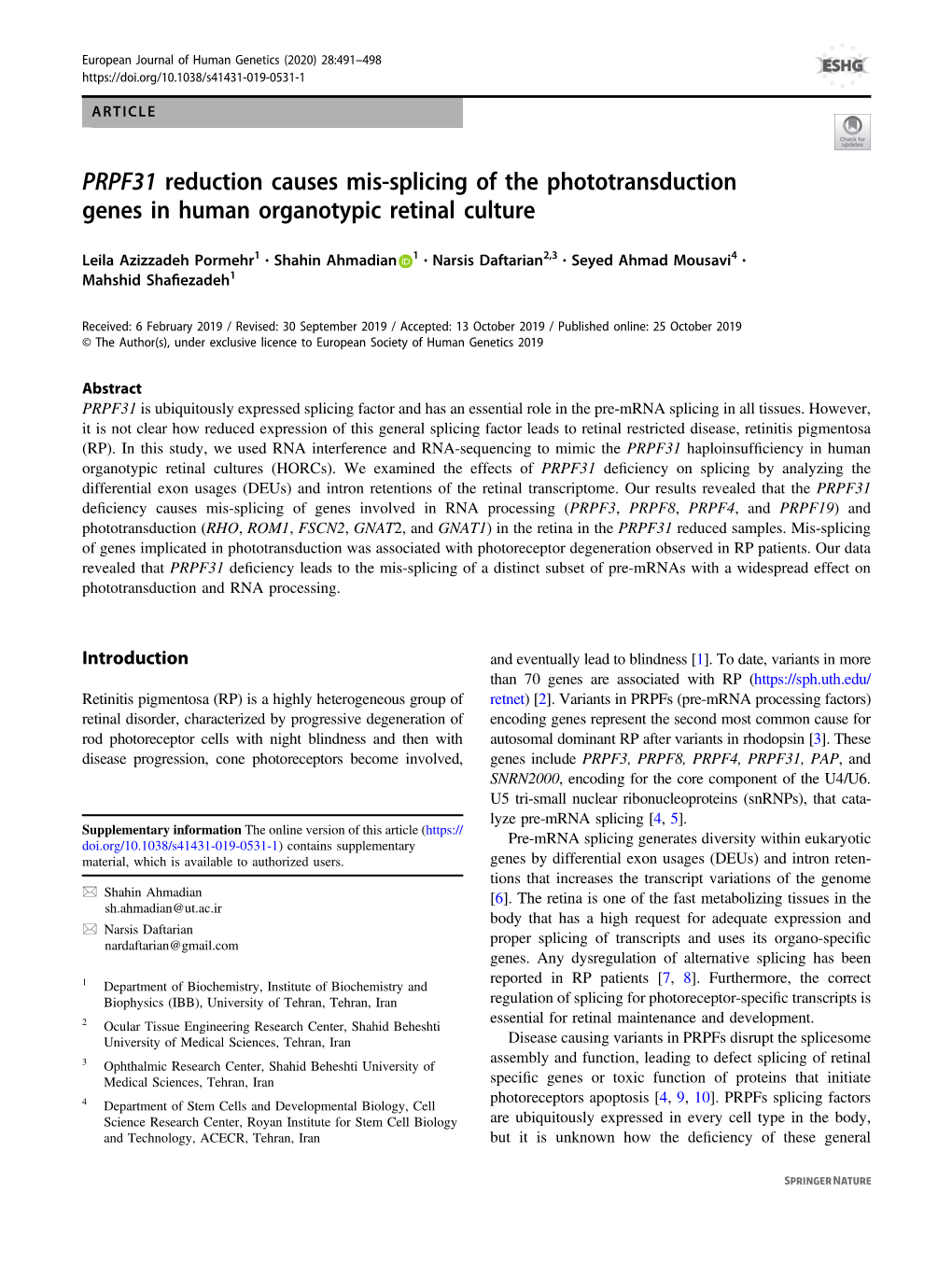PRPF31 Reduction Causes Mis-Splicing of the Phototransduction Genes in Human Organotypic Retinal Culture