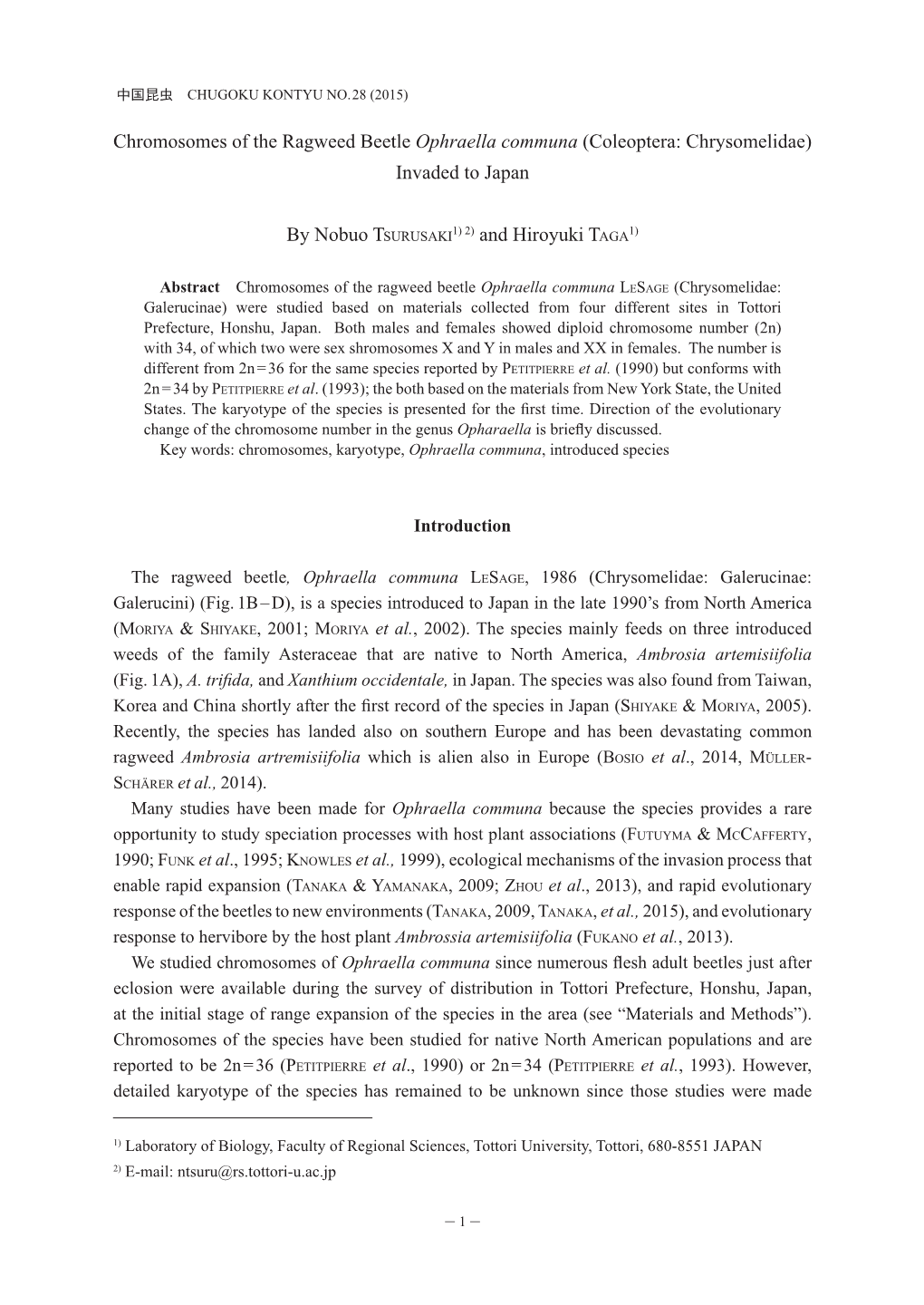 Chromosomes of the Ragweed Beetle Ophraella Communa (Coleoptera: Chrysomelidae) Invaded to Japan by Nobuo TSURUSAKI1) 2) And