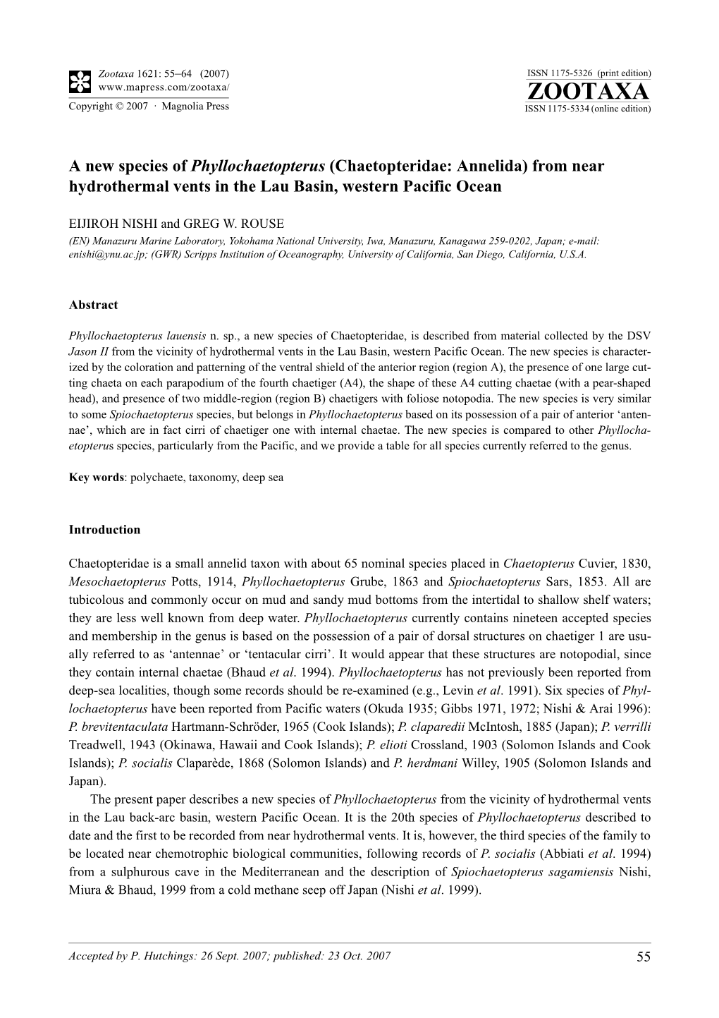 Zootaxa,A New Species of Phyllochaetopterus (Chaetopteridae: Annelida) from Near