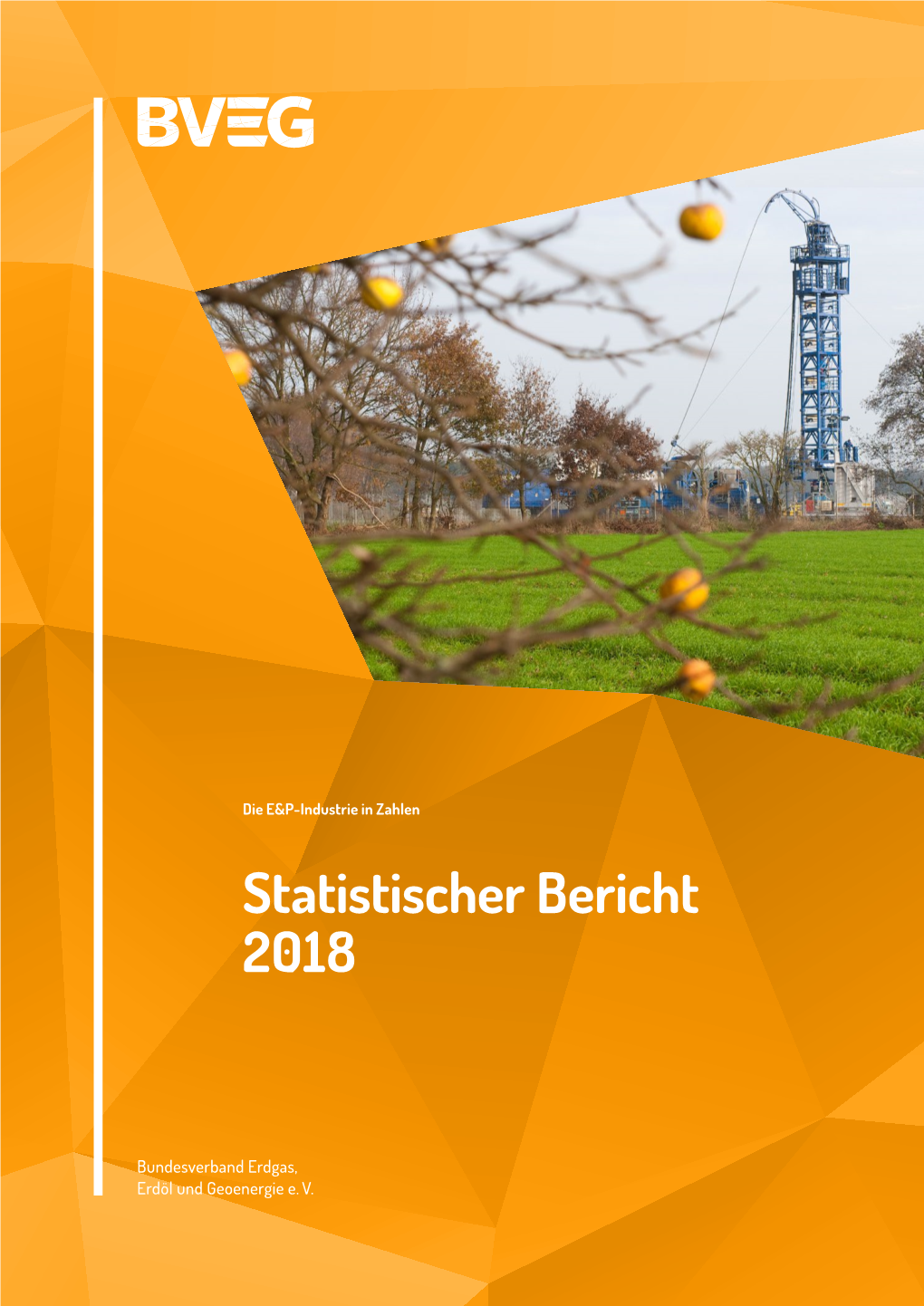 BVEG Statistischer Bericht 2018