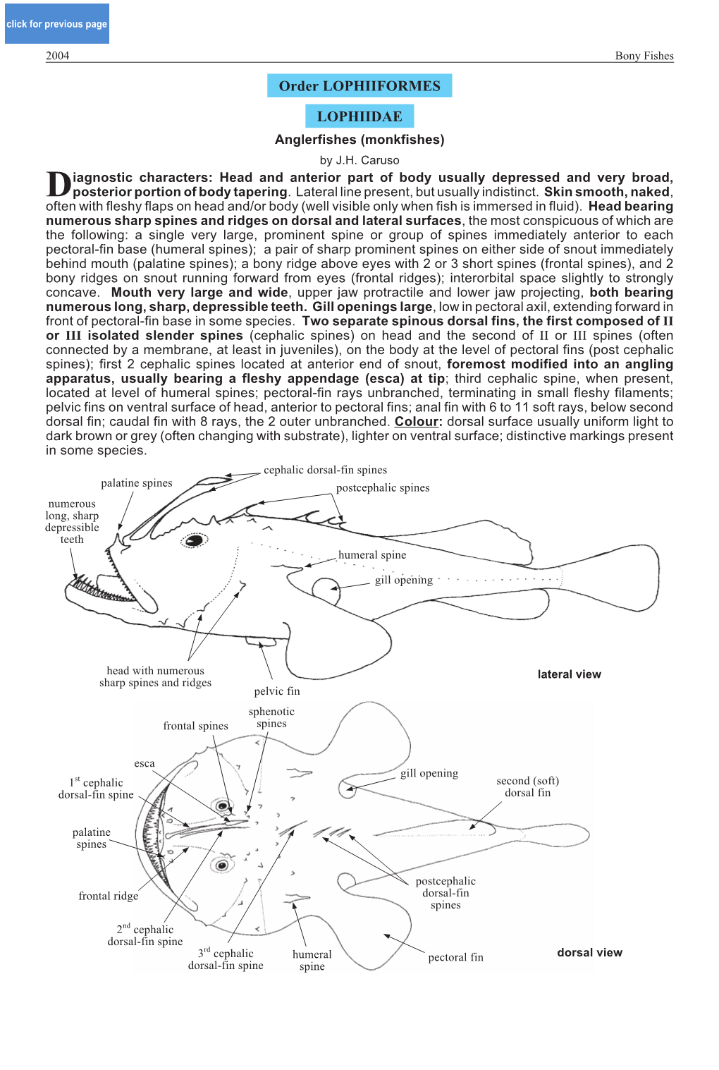 Order LOPHIIFORMES