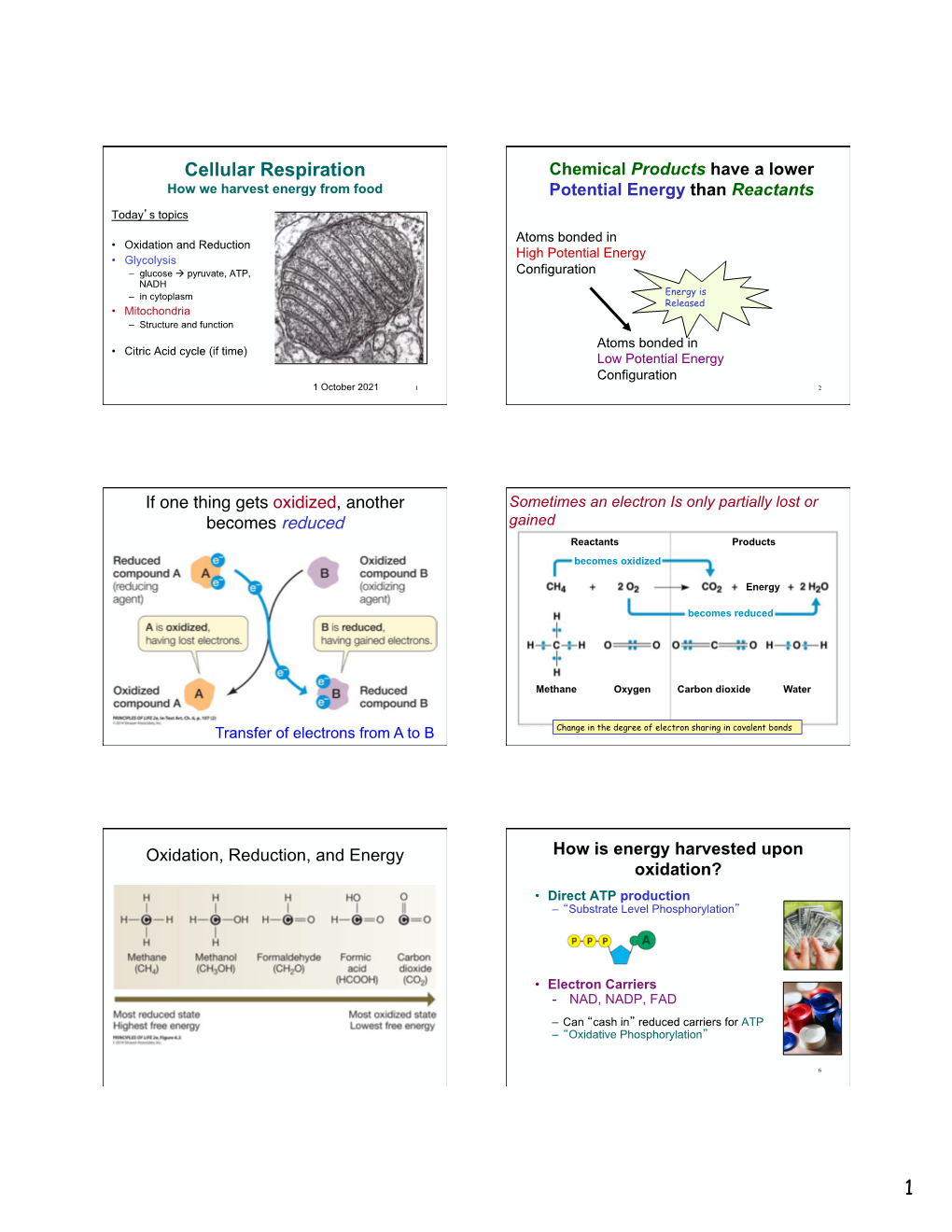 Cellular Respiration Chemical Products Have a Lower How We Harvest Energy from Food Potential Energy Than Reactants Today�S Topics