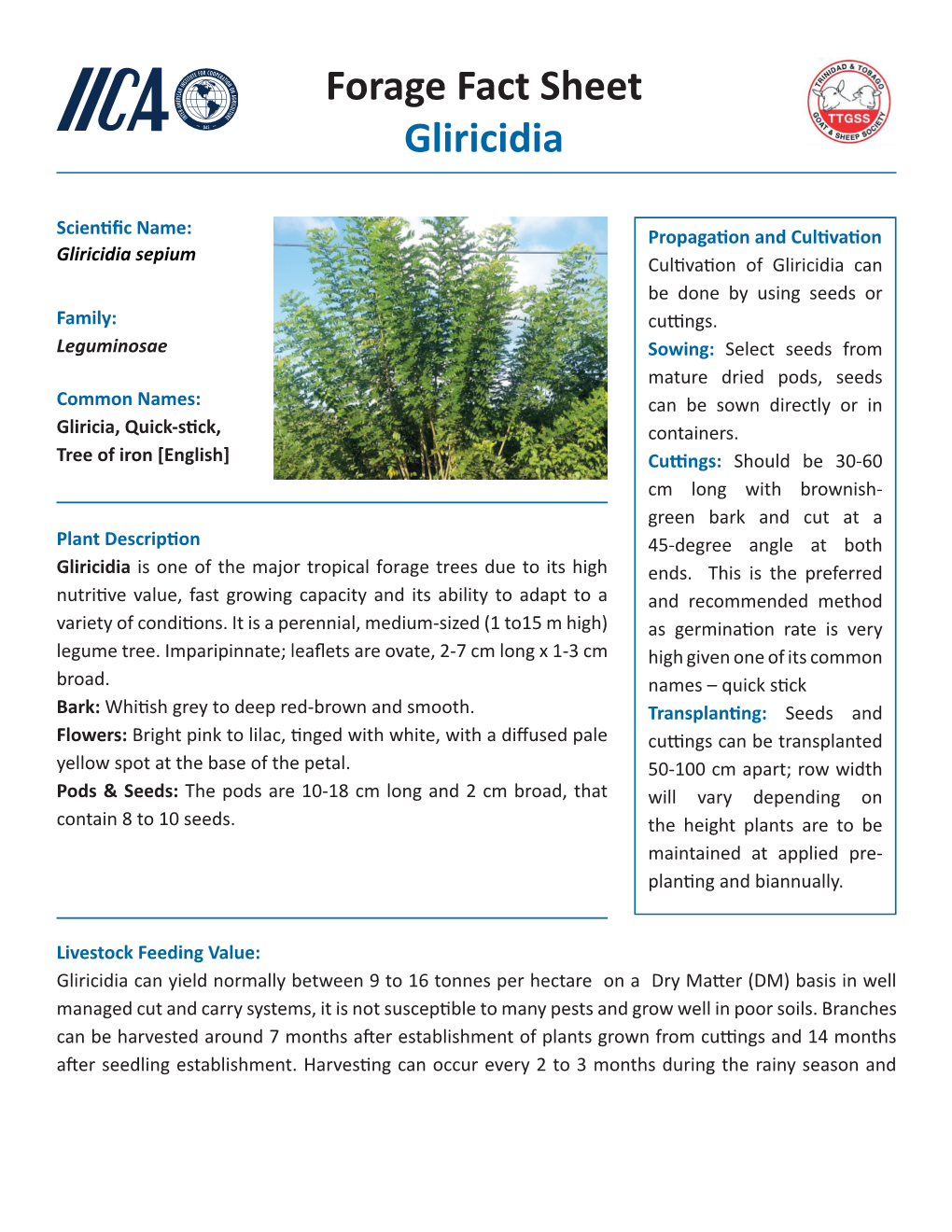 Forage Fact Sheet Gliricidia