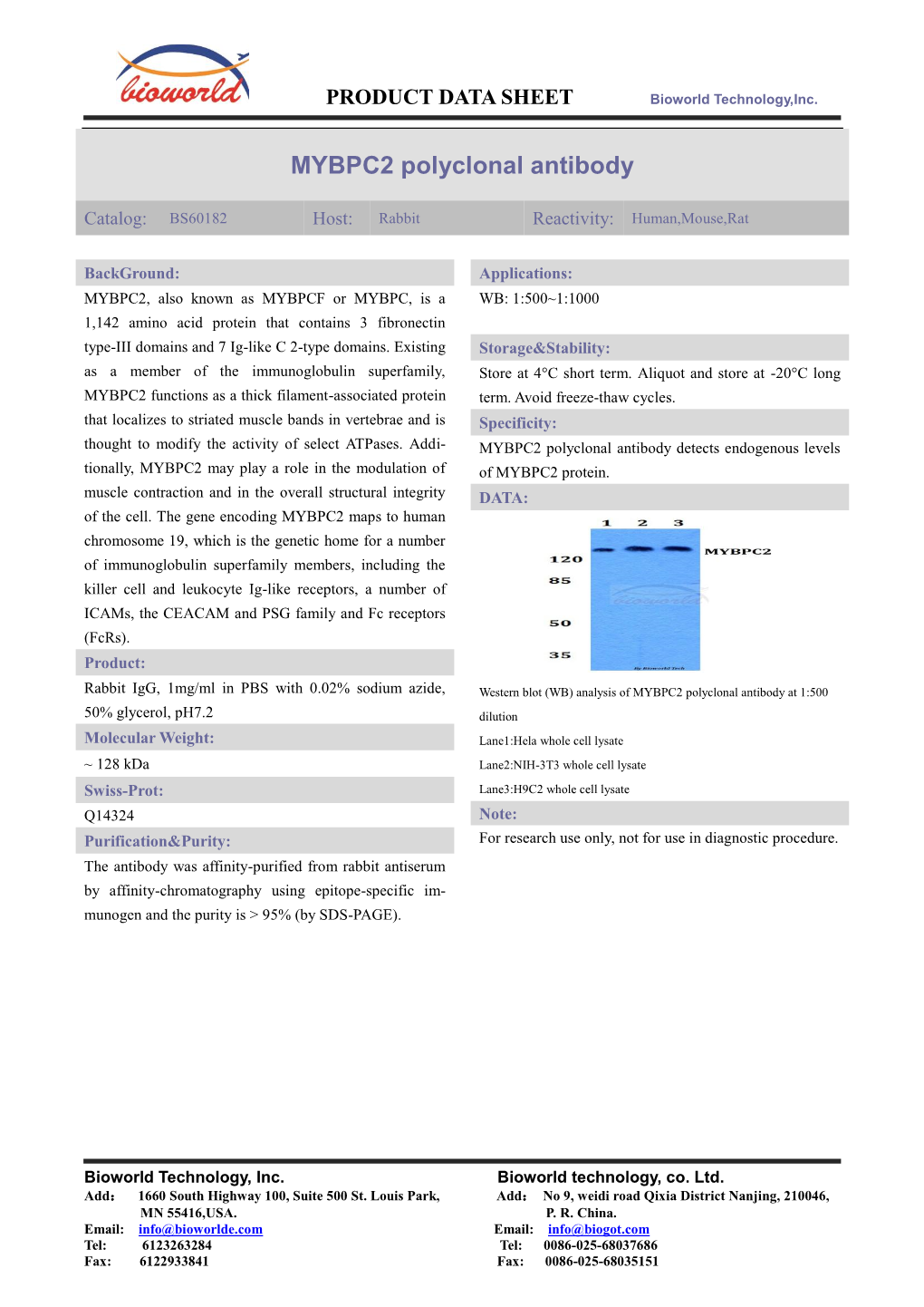 MYBPC2 Polyclonal Antibody