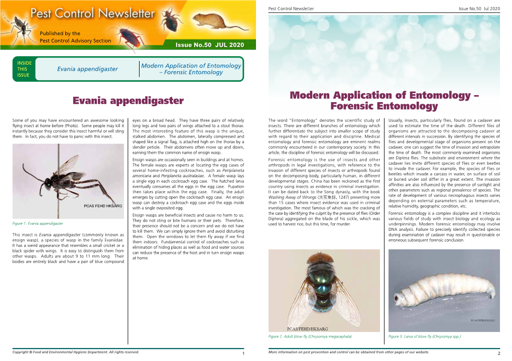 Evania Appendigaster Modern Application of Entomology