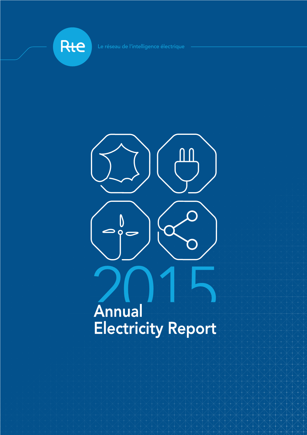 Annual Electricity Report