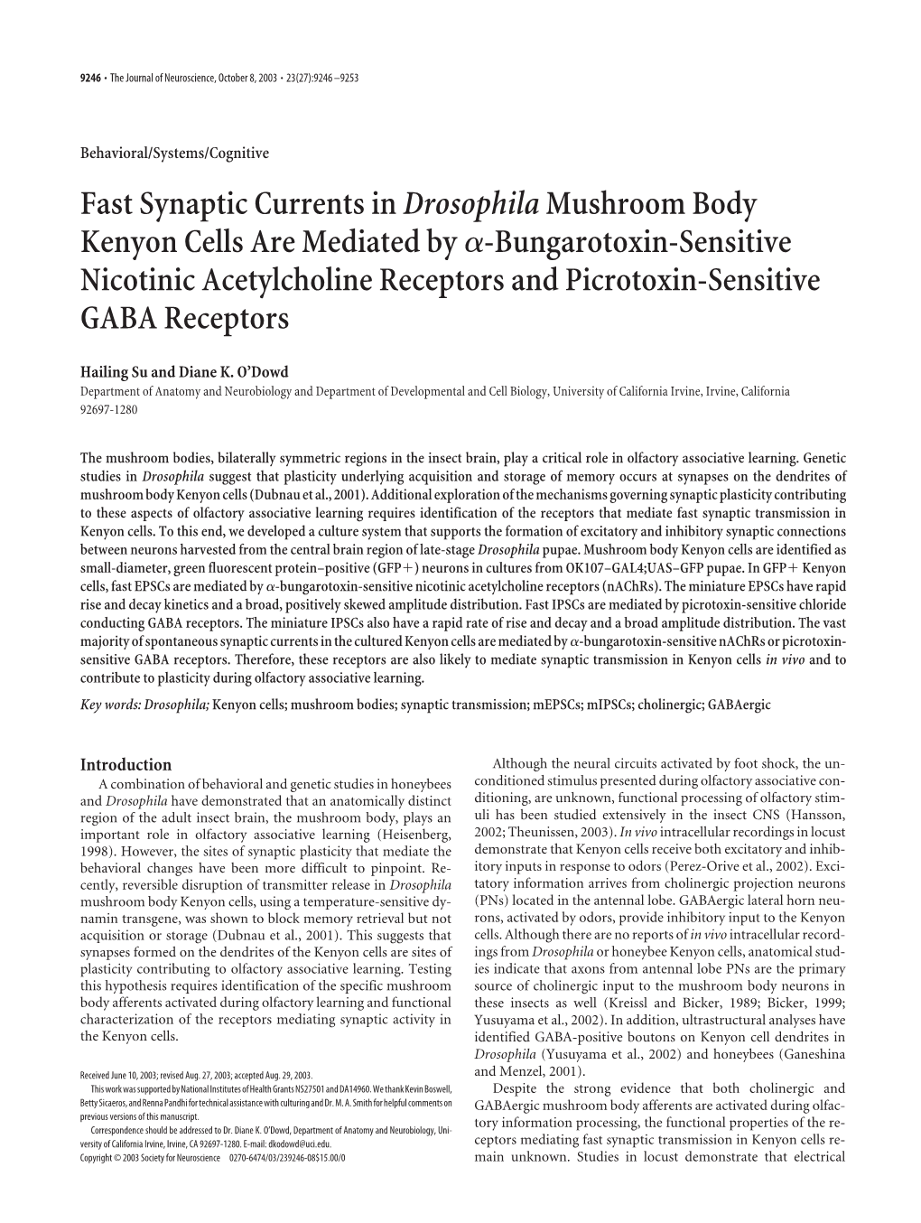 Fast Synaptic Currents Indrosophilamushroom Body