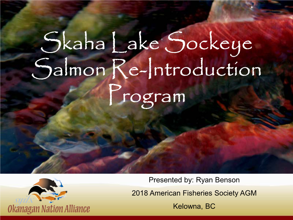 Skaha Lake Sockeye Salmon Re-Introduction Program