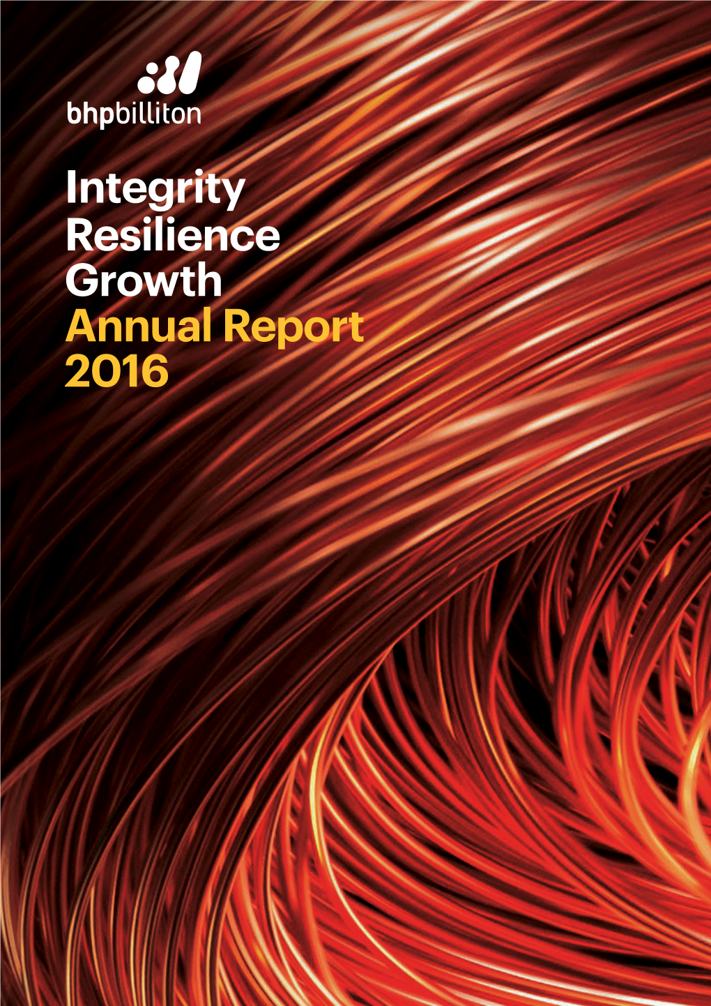Integrity Resilience Growth Annual Report 2016