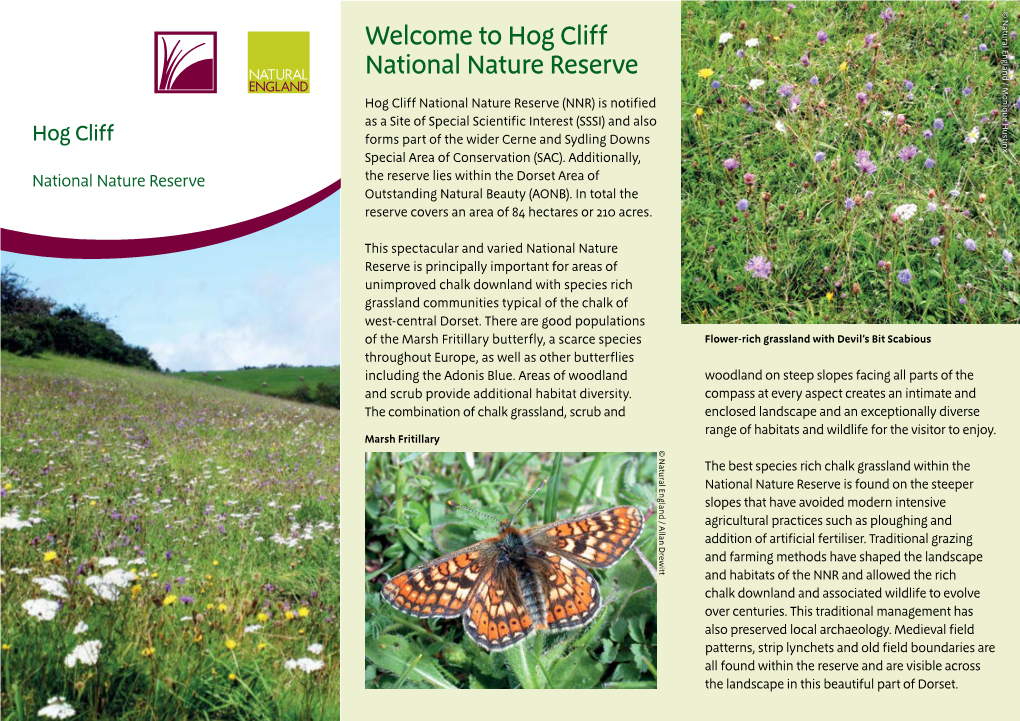 Hog Cliff National Nature Reserve Leaflet