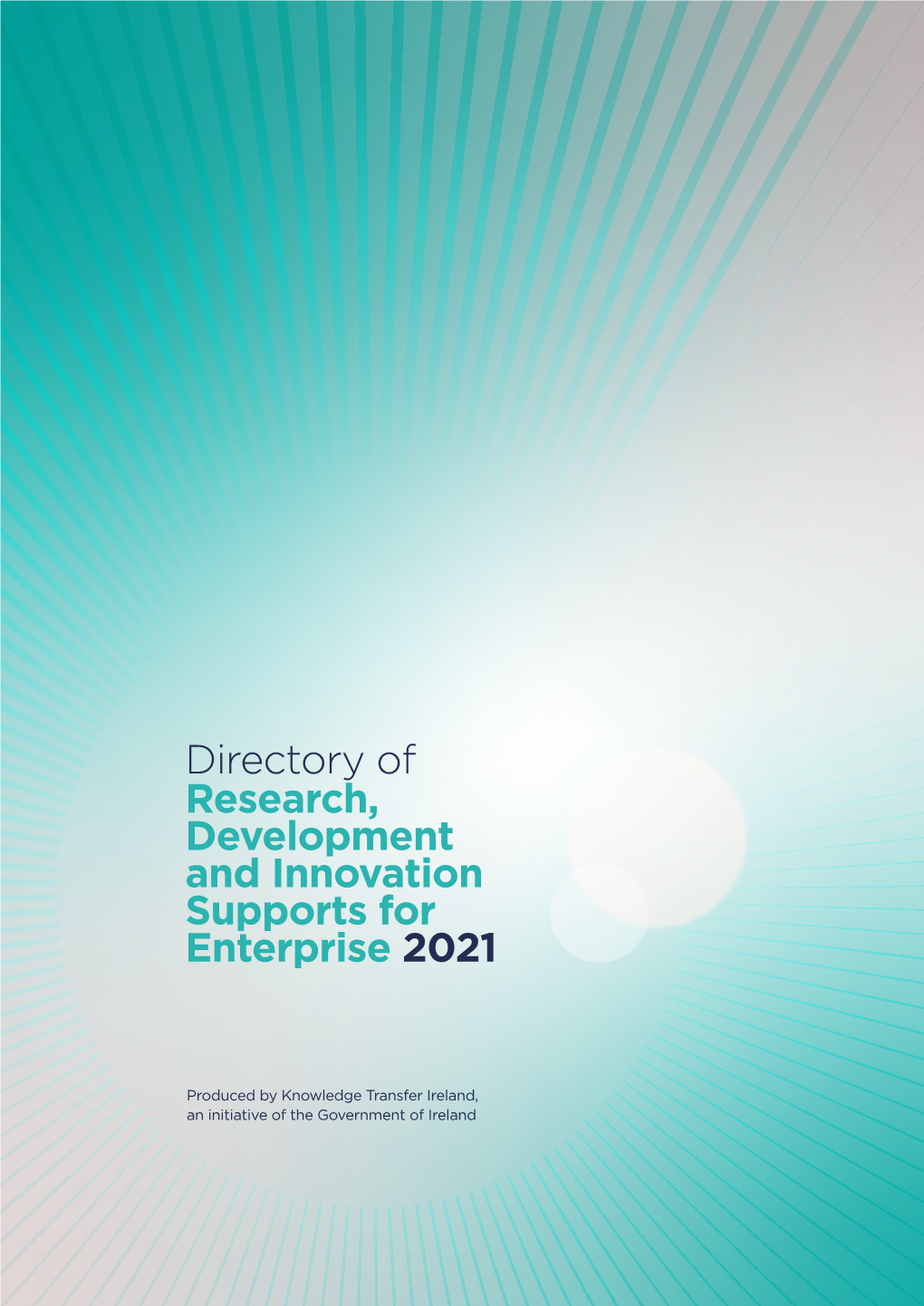 Research, Development and Innovation Supports for Enterprise 2021