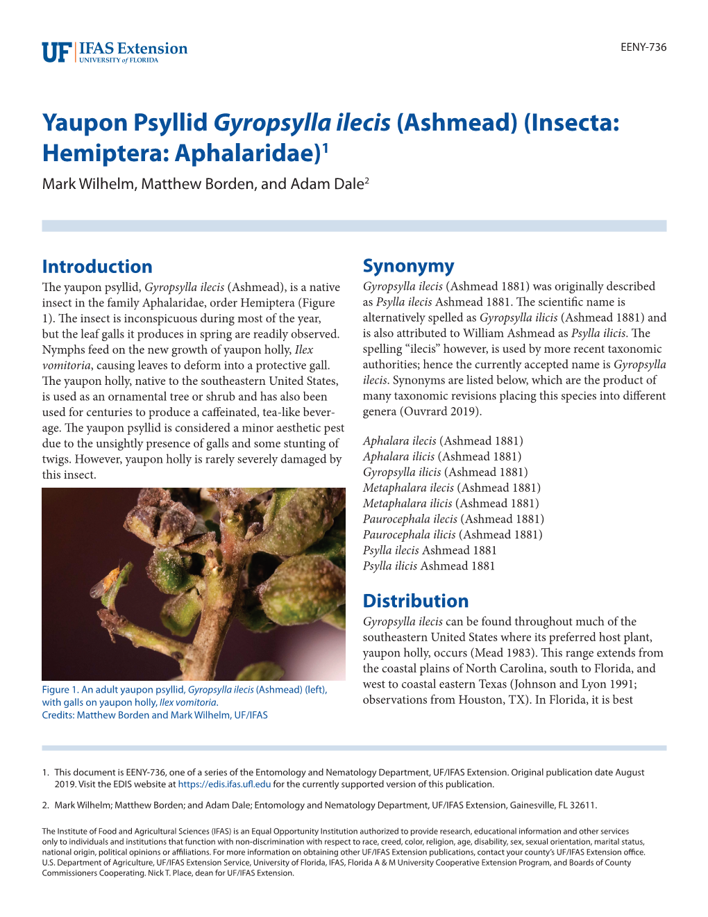 Yaupon Psyllid Gyropsylla Ilecis (Ashmead) (Insecta: Hemiptera: Aphalaridae)1 Mark Wilhelm, Matthew Borden, and Adam Dale2
