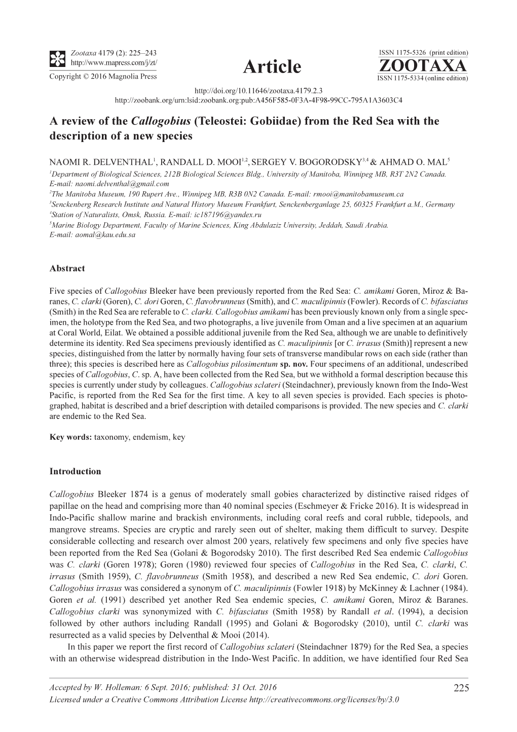 A Review of the Callogobius (Teleostei: Gobiidae) from the Red Sea with the Description of a New Species