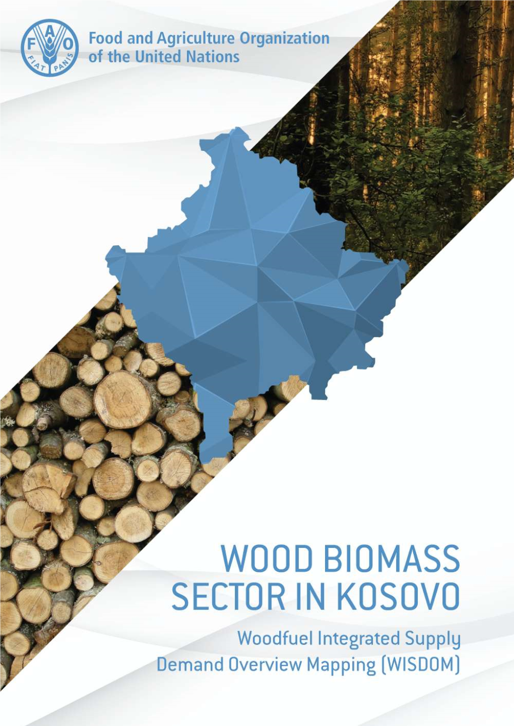 Wood Biomass Sector in Kosovo