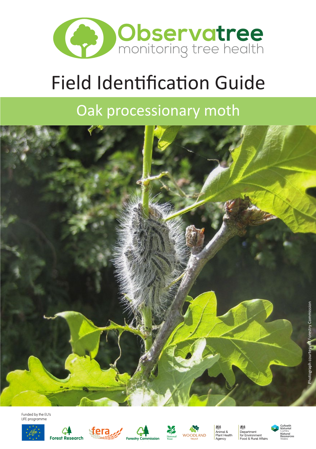 Field Identification Guide Oak Processionary Moth